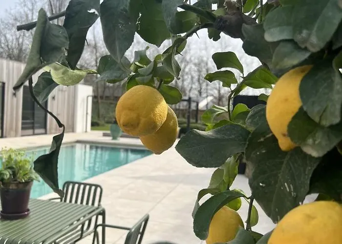 De Lichtboei Bed & Breakfast