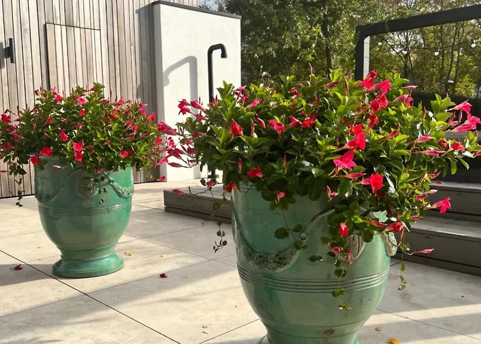 De Lichtboei Bed & Breakfast Kootwijkerbroek