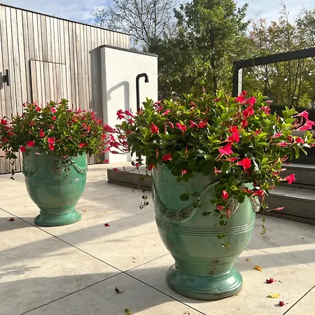 De Lichtboei Bed and Breakfast Kootwijkerbroek